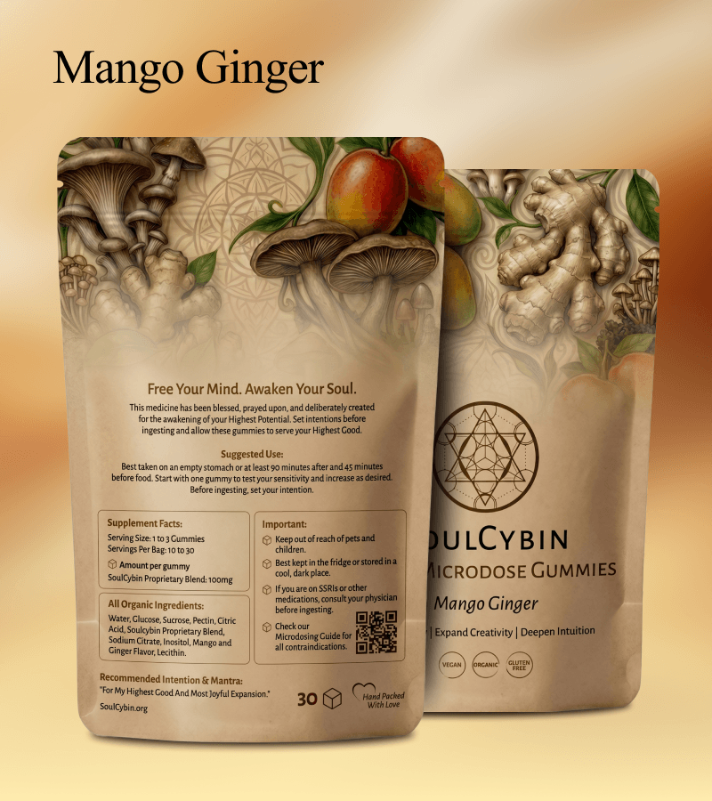 Mango Ginger Magic Mushroom Gummies